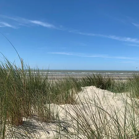 Karthuizer * Nieuwpoort